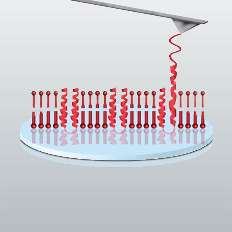 Advanced Force Spectroscopy Module