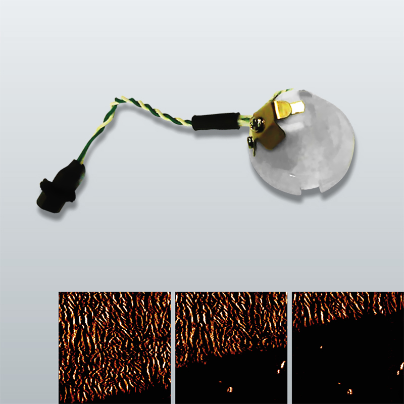 Fast Scanning Package