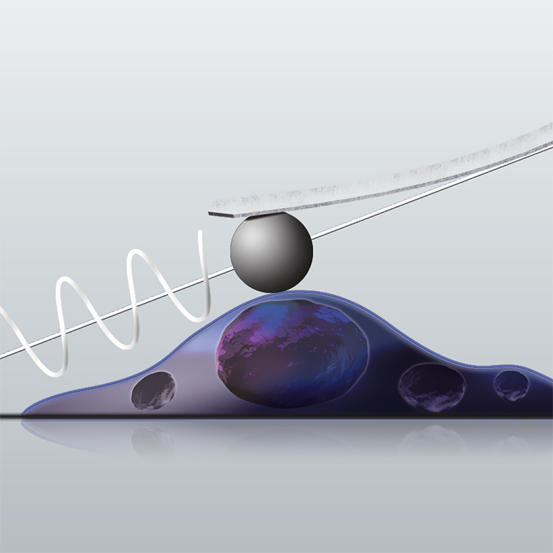 Micro Rheology Software Module