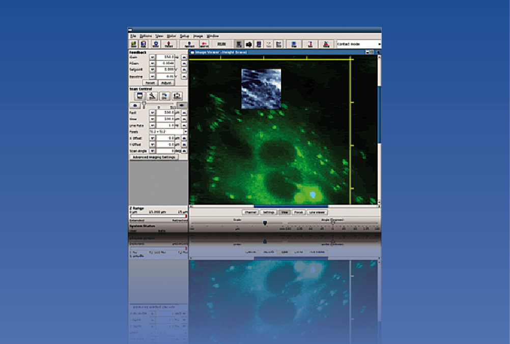Direct Overlay Software Module Bio Science