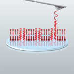 Advanced Force Spectroscopy Module