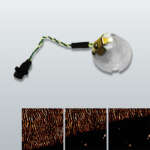 Fast Scanning Package