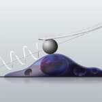 Micro Rheology Software Module