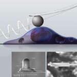 Cellmechanics Package 800X800