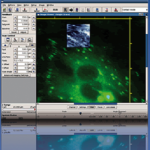 Direct Overlay Software Module Bio Science