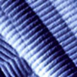 Collagen Levels Of Structure And Alignment