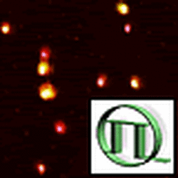 Combining Atomic Force Microscopy With Fluorescence Lifetime Imaging