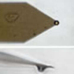 Determining The Elastic Modulus Of Biological Samples Using The Atomic Force Microscope