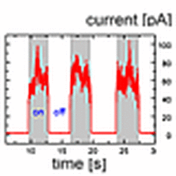 Exploring The Properties Of Organic Semiconductors For Photovoltaic Applications With The Nano Wizard Afm