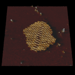 High Resolution Imaging Of Dna Nanoarchitectures Using Afm