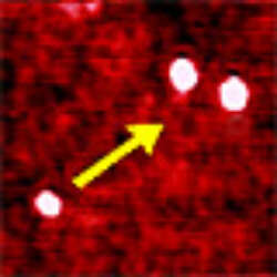 Nano Manipulation With Nano Wizard Technology