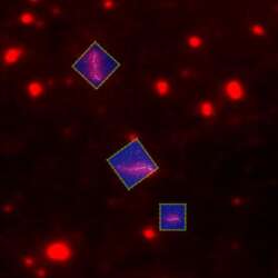 Perfect Optical Integration With Jpk´s Direct Overlay Tm