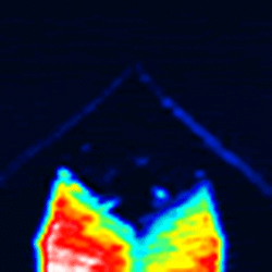 Turnkey Tip Enhanced Raman Scattering Ters Combining Jpk Nano Wizard Afm With A Raman System