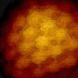 Bruker Jpk App Virus Tn