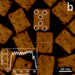 Correlative Afm Sted Dna Nanostructures 285