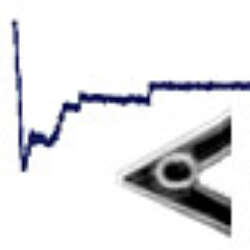 A New Perspective On Cell Cell Adhesion