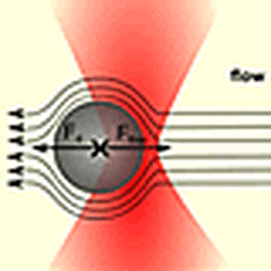 Micro Rheology Measurements With The Nano Tracker