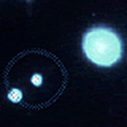 Optical Tweezers Combined With Multi Fluorescence Microscopy