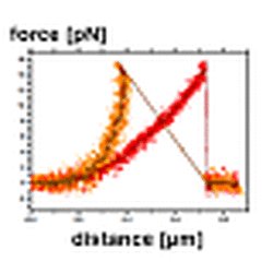 Probing Protein Ligand And Colloid–Colloid Interactions By Optical Tweezers
