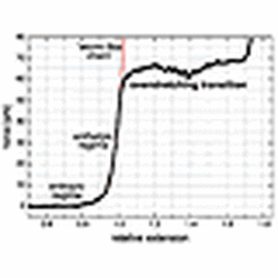 Single Molecule Dna Overstretching Using Optical Tweezers
