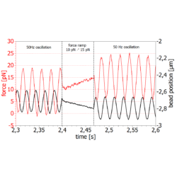 Multi Force Oscillations Zoom