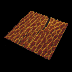 Save 2008 07 28 18 01 29 Height Trace 3 Da