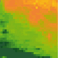 Fixed Mouse Cerebellum Tissue Embedded In 4 Agarose Thumb