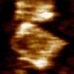 High Speed Dna Origami 35Fps Tn