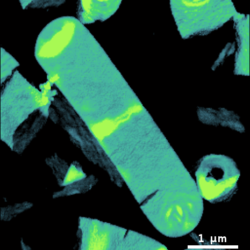 Qi Fit 2017 07 17 16 05 36 324 Reference Force Height Default Mint