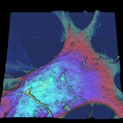 Qi Fit 2015 12 01 10 48 07 010 3 D Reference Force Height Measured Default