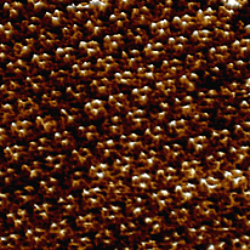 Bacteriorhodopsin In Buffer 1 Thumb