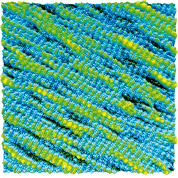 Collagen Type I Nanolayer In Liquid 1