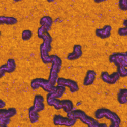 Qi Fit 2015 12 03 17 11 32 650 Reference Force Height Measured Default 3 D10 Thumb