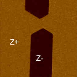 Piezo Response Phase Image