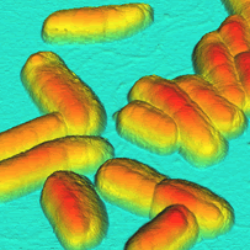 3 D Topography1 Thumb