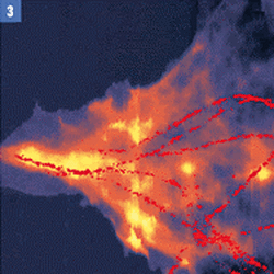 He La Cell In Buffer Afm With Storm 1 Thumb