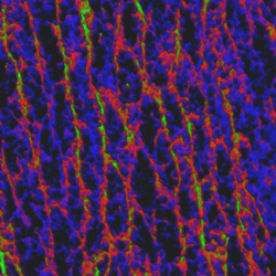 Save 2015 11 03 15 42 37 129 Height Trace 3 D Thumb