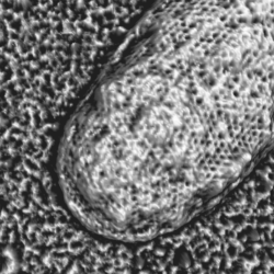 Qi Fit 2017 02 02 16 16 40 077 Highpass Over Height 3 D Thumb