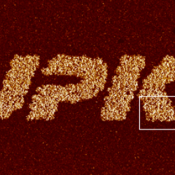 Jpklogo Zoom 300 Markregion