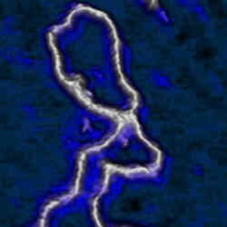 Lambda Phage Dna In Buffer Thumbnail