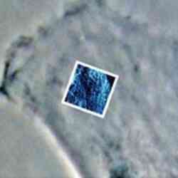 Living Kpg7 Cell At 37° C Afm And Phase Contrast 1 Thumb