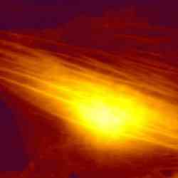 Height Image Fibroplast