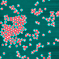 Pnipam Dry Si 1 2008 03 26 14 26 36 Head Height Measured Trace