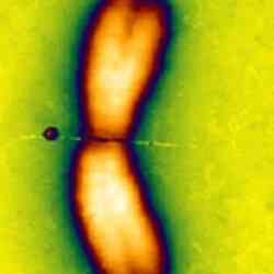 Manipulation Of A Chromosome 1