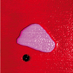 Melting Of Lipid Domains In Buffer 1 Thumb