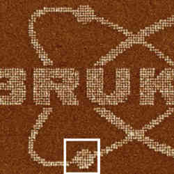 Piezoresponse Microsopy Copolymer Tn