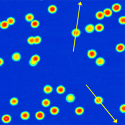 Manipulation Paths Marked