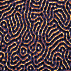 Adhesion Image