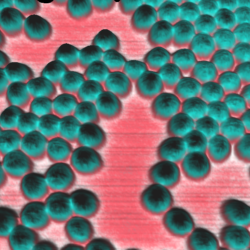 Qi Data 2015 11 17 10 54 28 745 Thumb