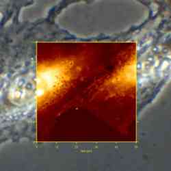 Screenshot Height Png